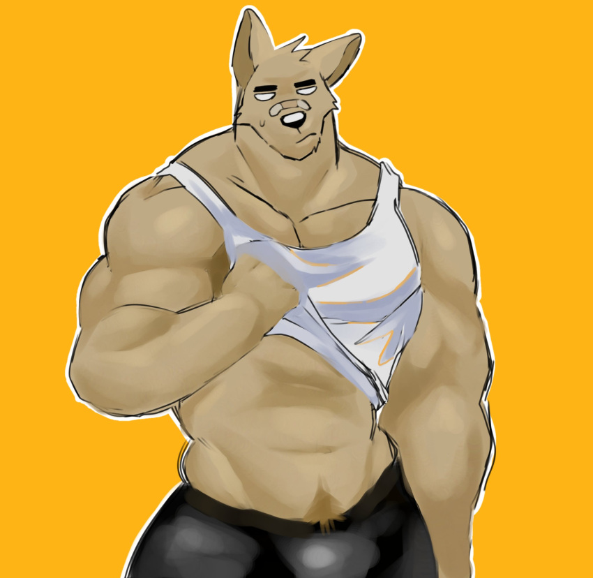 1boy anthro bandaid belly biceps bulge canine furry ice_xhan male male_only mammal muscular muscular_male oliver_(raulrvl) pecs sweat sweatdrop tank_top tank_top_lift toro_buull