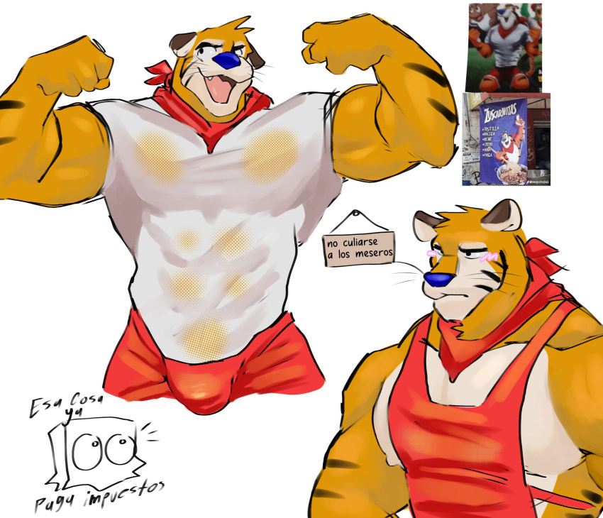 1boy abs anthro beige_fur biceps blue_nose blush bulge felid feline furry ice_xhan kellogg's male male_only mammal mascot muscular muscular_male orange_fur shirt shorts smiling spanish_text sportswear tiger tony_the_tiger toro_buull wet wet_clothes