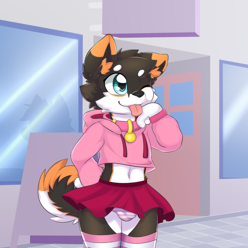 1:1 anthro black_body black_fur black_nose blep blue_eyes bottomwear bulge canid cheek_tuft chibi closed_smile clothed clothing collar crossdressing duo facial_tuft femboy fluffy fluffy_tail front_view fur girly glistening glistening_eyes hand_behind_back head_tuft hi_res inner_ear_fluff kewkungzn male mammal midriff mouth_closed multicolored_body multicolored_fur navel one_eye_closed orange_body orange_fur orange_inner_ear_fluff outside panties pattern_bottomwear pattern_clothing pattern_panties pattern_underwear pink_clothing pink_collar pink_panties pink_topwear pink_underwear red_bottomwear red_clothing red_skirt sign silhouette skirt solo_focus standing striped_bottomwear striped_clothing striped_panties striped_underwear stripes tongue tongue_out topwear tuft underwear unsigned white_body white_clothing white_fur white_panties white_underwear young