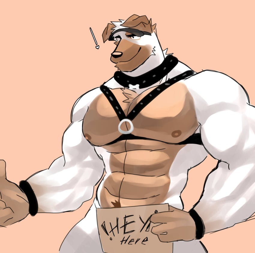 bara biceps bondage canine furry harness ice_xhan male male_focus male_only muscular muscular_male pecs toro_buull