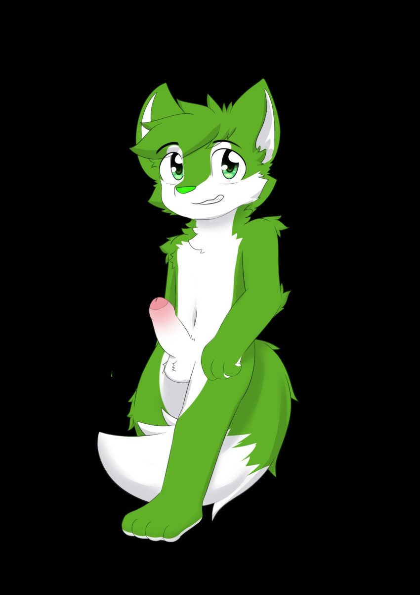 anthro ball_tuft black_background canid cheek_tuft elbow_tuft erection facial_tuft foreskin full-length_portrait fur genitals green_body green_eyes green_fur green_nose grin hair hi_res humanoid_genitalia humanoid_penis kewkungzn leg_tuft looking_at_viewer male mammal navel pawpads penis portrait short_hair shoulder_tuft simple_background smile solo standing three-quarter_view tuft unsigned white_body white_fur white_inner_ear white_pawpads white_penis young