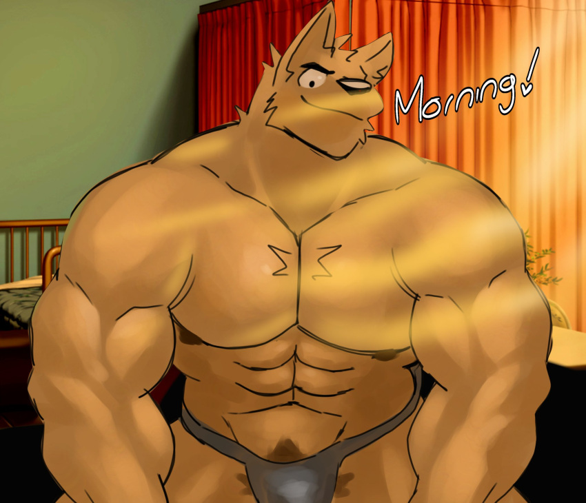 1boy bara beige_fur biceps bulge canid canine canine canis furry ice_xhan jockstrap male male_focus male_only muscular muscular_male pecs toro_buull yellow_fur