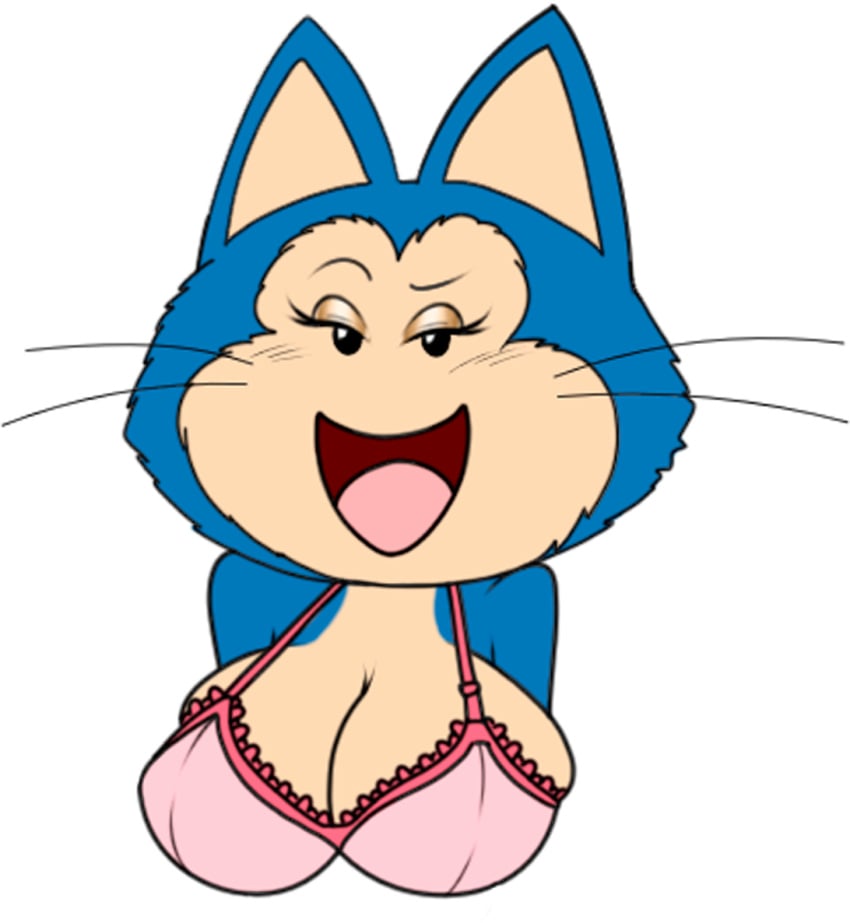 anthro big_breasts blue_fur bra cat_humanoid catgirl clothed dark_whisper dragon_ball dragon_ball_super dragon_ball_z looking_at_viewer multicolored_fur puar rule_63