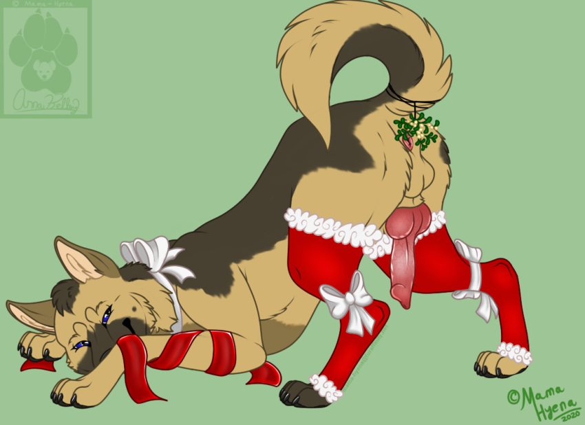 anatomically_correct animal_genitalia animal_penis anus ass balls bent_over canid canine canine_penis canis christmas clothing domestic_dog erection feral genitals german_shepherd herding_dog holidays legwear looking_at_viewer male male_only mama-hyena mammal mistletoe mistletoe_on_tail pastoral_dog penis plant presenting ribbons solo stockings