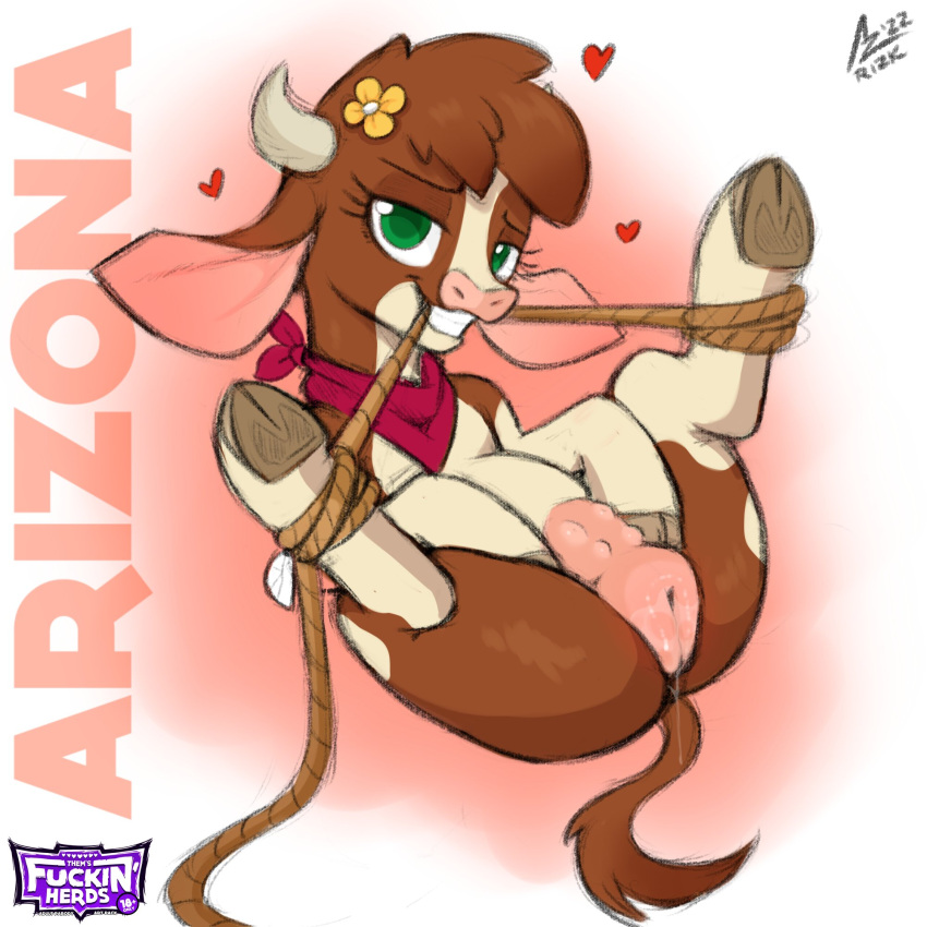 1:1 2022 accessory aer0_zer0 anatomically_correct arizona_cow_(tfh) bedroom_eyes bondage bound bovid bovid_horn bovine brown_body brown_fur brown_hair cattle cloven_hooves digital_drawing_(artwork) digital_media_(artwork) female feral flower flower_in_hair fur genitals green_eyes grin hair hair_accessory heart hereford_cattle hi_res hooves horn kerchief looking_at_viewer lying mammal mouth_hold multicolored_body multicolored_fur narrowed_eyes neckerchief on_back original plant presenting pussy red_kerchief red_neckerchief restraints rope rope_bondage seductive smile solo tan_body tan_fur them's_fightin'_herds two_tone_body two_tone_fur