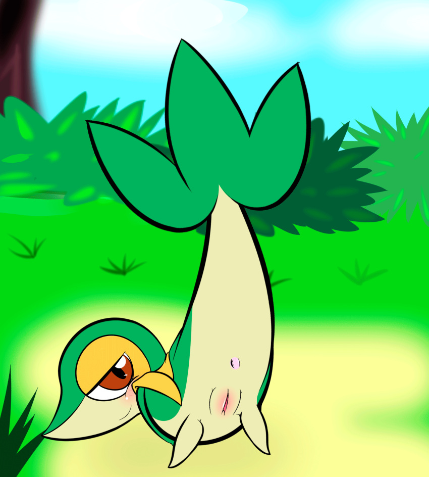 animated anus ass_up female feral generation_5_pokemon genitals grass hi_res jhussethy nintendo plant pokémon_(species) pokemon pokemon_(species) presenting presenting_anus presenting_pussy pussy raised_tail snivy solo tail