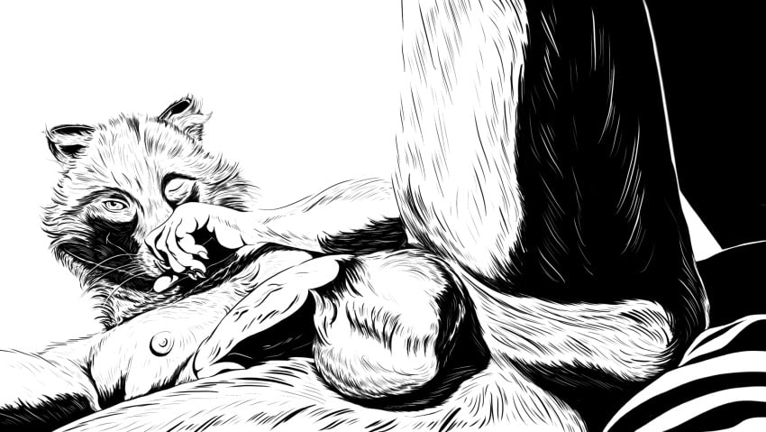 anthro balls biped black_and_white canid canine genitals hi_res humanoid_genitalia humanoid_penis lying male mammal monochrome nipples on_back penis raccoon_dog sinful_ink_(artist) solo tanuki whiskers