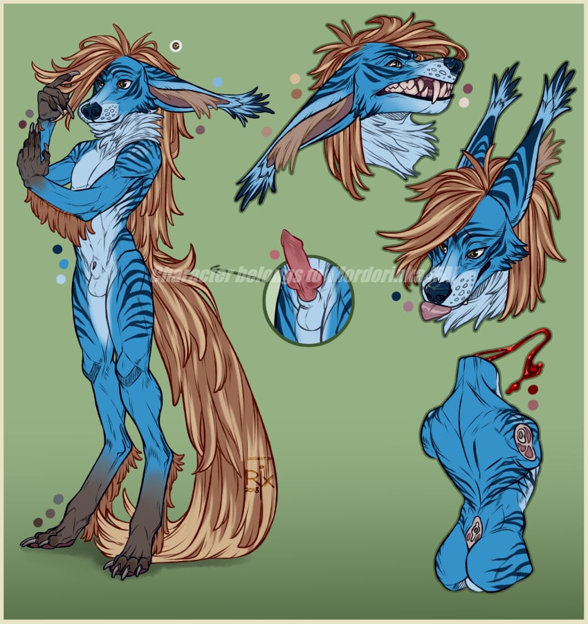 2018 absurd_res angry animal_genitalia animal_penis anthro arm_tuft artist_logo balls big_ears blep blue_balls blue_sheath border brown_body brown_eyes brown_fur brown_hair brown_tail canid canine_penis cheek_tuft dated ears_back erection facial_tuft full-length_portrait fur genitals glistening glistening_eyes gloves_(marking) gore gradient_fur green_background hair hi_res knot leg_markings leg_tuft logo long_hair male mammal markings model_sheet mouth_closed narrowed_eyes nude penis penis_tip pivoted_ears portrait riorix signature simple_background socks_(marking) solo standing striped_arms striped_back striped_legs tongue tongue_out tuft watermark yellow_border