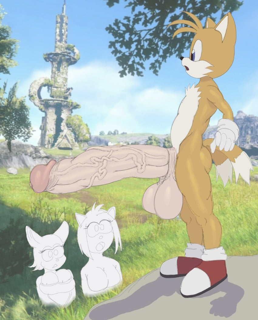 Amy Rose (Sonic (Series)) Rule 34 Image