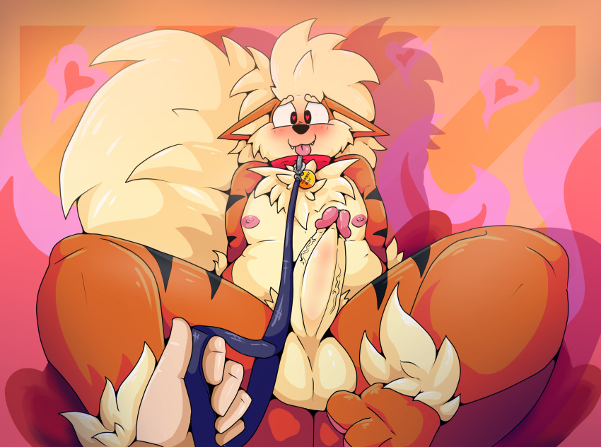 <3_eyes 2023 5_fingers abstract_background anthro arcanine balls blush chest_tuft collar dominant dominant_pov duo fingers first_person_view fur generation_1_pokemon genitals heart hi_res iguanasarecool leash leg_tuft male male_only nintendo nipples orange_body orange_fur penis pokémon_(species) pokemon pokemon_(species) solo_focus submissive submissive_male thick_thighs tongue tuft wide_hips