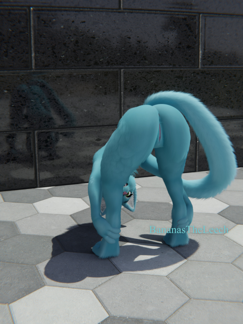 3d_(artwork) anthro anus ass bananastheleech bent_over blue_body blue_fur digital_media_(artwork) felid female fur genitals hi_res holding_both_ankles holding_both_legs inner_ear_fluff kraft_trio mammal nude outside presenting presenting_hindquarters presenting_pussy public public_nudity pussy reflection solo tail tail_aside tuft white_inner_ear_fluff