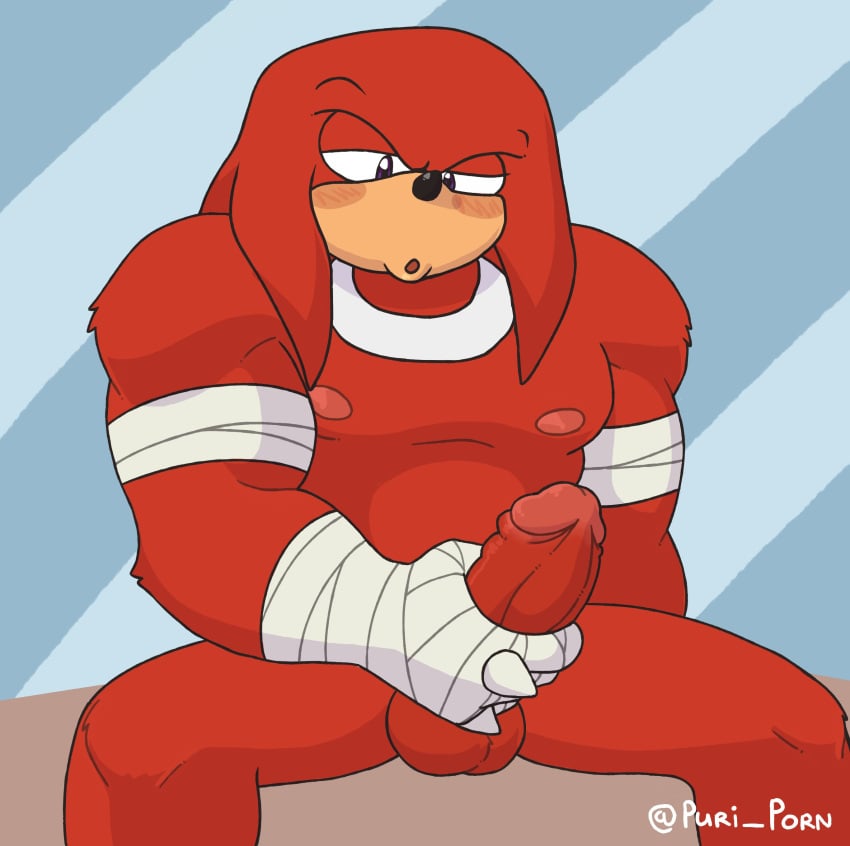 absurd_res anthro balls bandage bandaged_hand biceps blush breasts clothing digital_media_(artwork) echidna english_text erection fur genitals hi_res humanoid_genitalia knuckles_the_echidna male mammal masturbation monotreme muscular nipples nude open_mouth pecs penis puri_porn purico quills sega simple_background solo sonic_(series) sonic_the_hedgehog_(series) text white_body white_fur