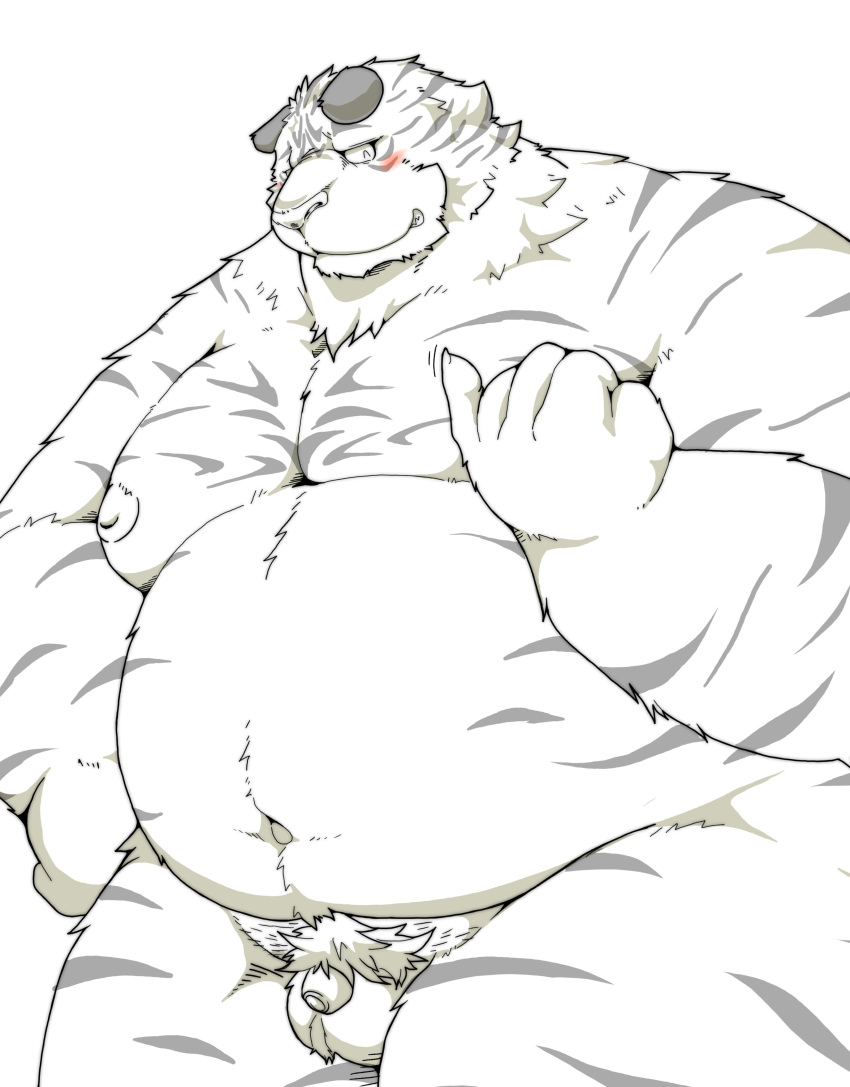 2022 absurd_res anthro balls belly big_belly blush felid flaccid genitals hi_res humanoid_hands kemono male male_only mammal micropenis moobs navel nipples overweight overweight_male pantherine penis pubes small_penis solo suishou0602 tiger