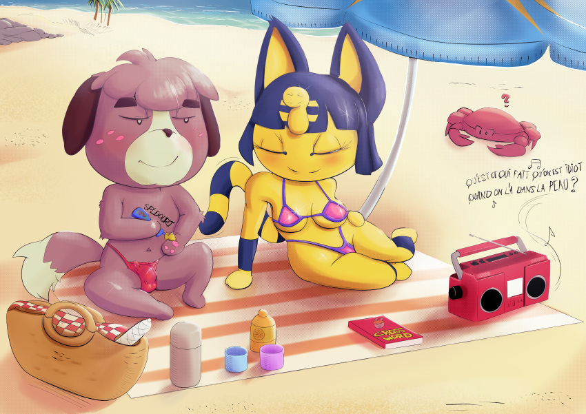 absurd_res animal_crossing ankha ankha_(animal_crossing) anthro beach big_breasts bikini blush breasts bulge canid canine canis closed_eyes clothing detailed_bulge digby_(animal_crossing) domestic_cat domestic_dog duo felid feline felis female french_text hi_res lecerf male male/female mammal nintendo paws question_mark radio seaside sitting smile swimwear text thong underwear