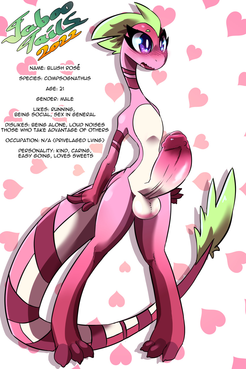 2:3 absurd_res anthro balls big_penis blush blush_rosé_(taboo_tails) colored compsognathid compsognathus dinosaur english_text feathered_dinosaur feathers genitals hi_res huge_cock hyper hyper_genitalia hyper_penis male penis rendered reptile scalie solo taboo_tails_(copyright) text theropod white_crest