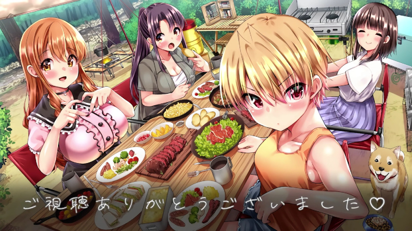 4girls aki_minami amber_eyes big_breasts blonde blonde_female blonde_hair brown_hair camp camping canine clothed clothed_female dining eating food harem_camp haruki_azumi light-skinned_female long_hair looking_at_viewer multiple_girls natsuki_kitamura official_art orange_eyes orange_hair pale-skinned_female pink_eyes poster puppy purple_hair screencap screenshot short_hair toko_saionji tomboy