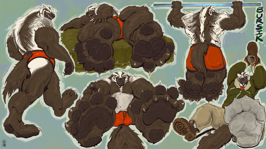 16:9 2021 5_toes absurd_res anthro back_muscles badger balls_outline barefoot big_feet big_muscles black_pawpads boots bottomwear brown_body brown_fur bulge bursikbadger chest_tuft clothing digital_media_(artwork) feet foot_focus footwear fur furgonomic_bottomwear genital_outline green_clothing green_hoodie green_topwear grey_talons hi_res holding_clothing holding_footwear holding_object hoodie humanoid_feet looking_at_viewer looking_back lying male mammal muscular muscular_anthro muscular_arms muscular_male mustelid musteline on_front open_mouth orange_bottomwear orange_clothing pants pawpads pinkgirlpen plantigrade pull-up_(exercise) rear_view simple_background sitting sitting_on_ground sketch_page sleeping socks soles solo spread_toes tan_bottomwear tan_clothing tan_pants toe_curl toes topwear tuft walking wide_feet widescreen