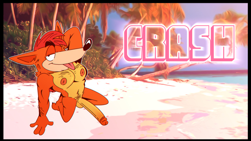 Crash Bandicoot (Activision) Rule 34 Image