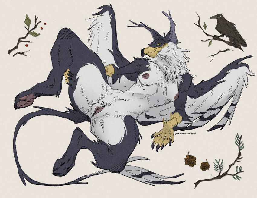 anthro avian beak bird branch breasts corvid feathered_wings feathers female fur genitals grey_body grey_fur gryphon hi_res ksejl lying multi_nipple mythological_avian mythology nipples nude oscine passerine pawpads pussy simple_background solo white_body white_fur wings