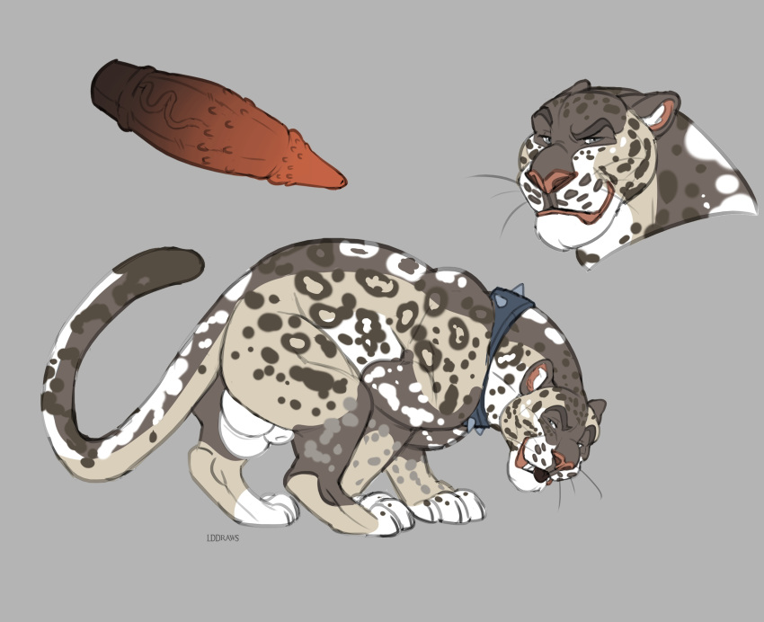 absurd_res animal_genitalia ass balls big_balls big_penis digital_media_(artwork) erection felid feral fur genitals girthy hi_res leopard male mammal pantherine paws penis sheath simple_background solo spots unknown_artist