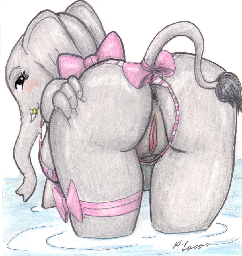 anthro anus ass bent_over bikini bikini_aside bikini_bottom_aside blush bow_ribbon breasts butt_focus clothing clothing_aside elephant elephantid english_text eyelashes female genitals grey_body grey_skin hi_res looking_at_viewer looking_back looking_back_at_viewer mammal nude partially_submerged paul_lucas presenting proboscidean pussy solo swimwear swimwear_aside tail tail_tuft text traditional_media_(artwork) trunk tuft tusks