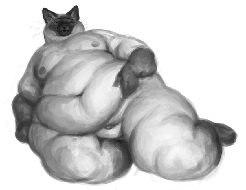 2022 anthro belly big_belly black_and_white cettus domestic_cat felid feline felis fupa genitals holding_belly lying male mammal monochrome nipples nude obese obese_anthro obese_male overweight overweight_anthro overweight_male penis reaching siamese simple_background small_penis solo superchub white_background