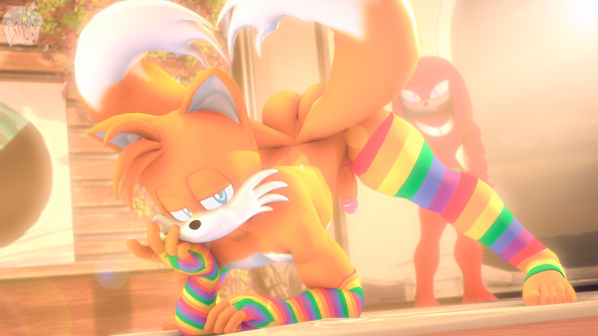 16:9 3d 3d_(artwork) absurd_res anthro breasts canid canine clothing digital_media_(artwork) duo echidna english_text footwear fox genitals hi_res knuckles_the_echidna loafsfm male male/male mammal monotreme penis relationship sega socks solo sonic_(series) sonic_the_hedgehog_(series) sunset tails text watermark widescreen