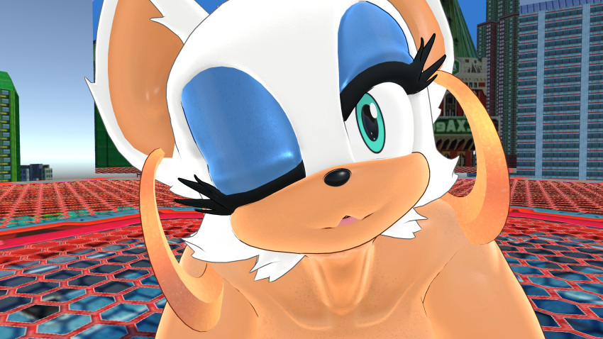 Mobian (Species) Rule 34 Image