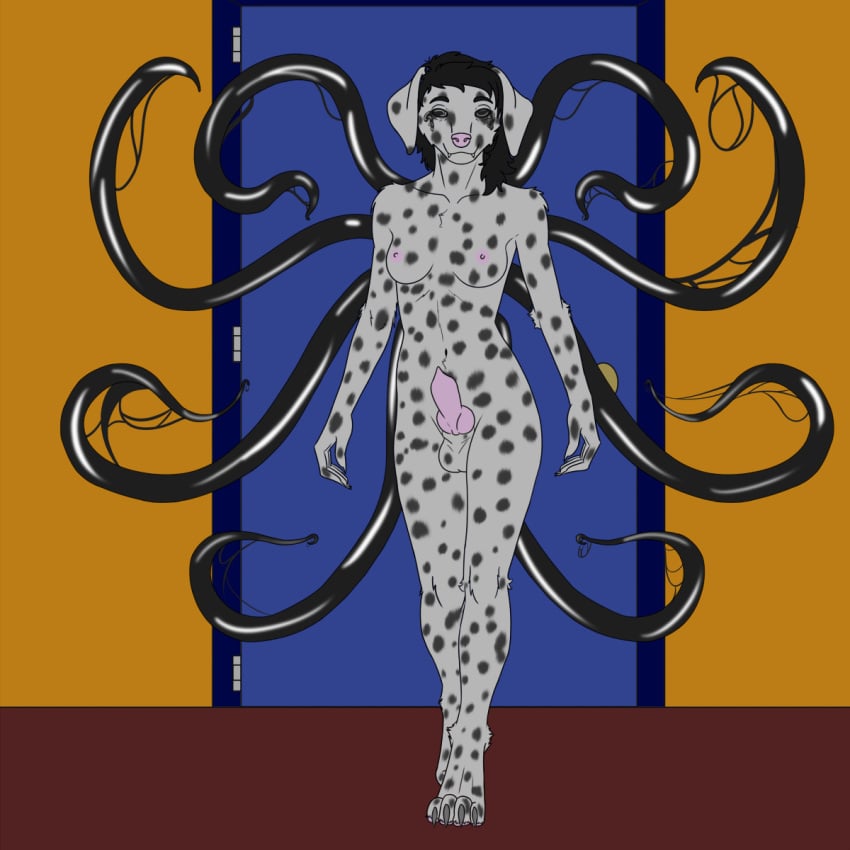 1:1 animal_genitalia animal_penis anthro balls black_eyes black_hair breasts canid canine canine_genitalia canine_penis canis carpet caxy_creations dalmatian domestic_dog door erection futanari genitals gynomorph hair hi_res intersex knot mammal markings medium_breasts medium_hair monster nipples pawpads paws penis pink_nipples pink_nose pink_pawpads pink_penis sheath solo spots spotted_markings tendrils tentacle vee_(caxy_creations)