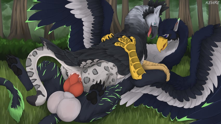 anal anal_sex anus avian beak black_beak black_body black_claws black_feathers black_fur black_pawpads claws duo erection feathers feet feral forest forest_background fur genitals grass grey_body grey_fur gryphon hi_res kehreazerith knot male male/male mythological_avian mythological_creature mythology nature nature_background pawpads penetration penis pink_anus plant red_knot red_penis talons toes tree