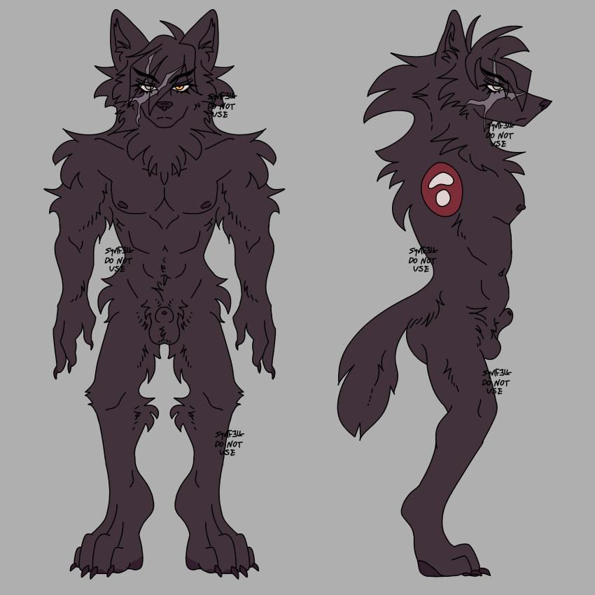 1:1 2025 absurd_res alternate_version_at_source animal_genitalia anthro balls black_body black_fur black_nipples black_pawpads canid canine canis claws digital_drawing_(artwork) digital_media_(artwork) facial_scar front_view fully_sheathed fur genitals hi_res male male_only mammal maximus_wulveneesh model_sheet nipples pawpads rhapsody_tenrai scar sheath side_view solo solo_male tail wolf yellow_eyes
