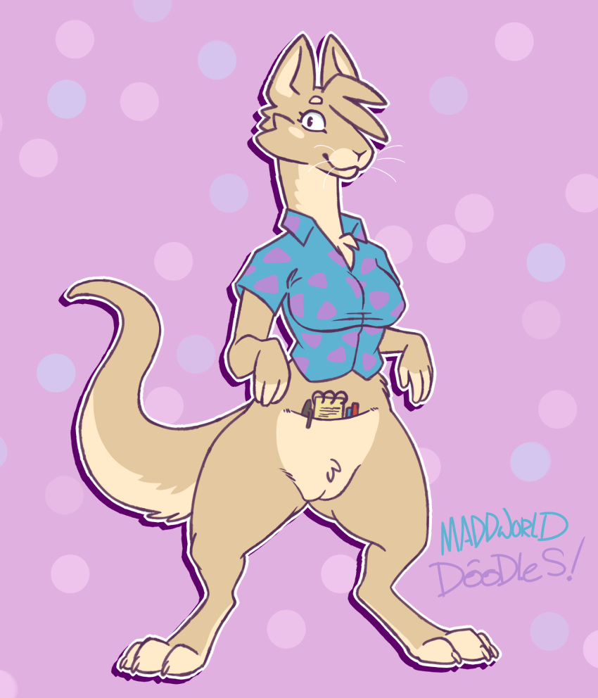 anthro breasts female genitals hi_res kangaroo looking_at_viewer macropod maddworld mammal marsupial nickelodeon pantsless pouch_(anatomy) pussy rocko's_modern_life rocko_rama rule_63 solo