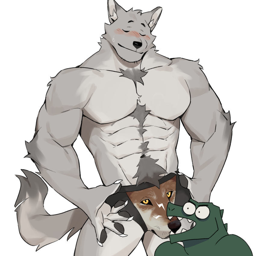 1:1 5_fingers abs absurd_res anthro bite black_pawpads blush blush_lines bulge bulge_bite canid canine canis claws closed_eyes clothed clothing countershade_fur countershade_torso countershading duo fingers fur gakujo grey_body grey_fur hi_res inner_ear_fluff male male_only mammal meme meme_clothing muscular muscular_anthro muscular_male pawpads pecs scalie simple_background smile tail tuft underwear underwear_only white_background wolf