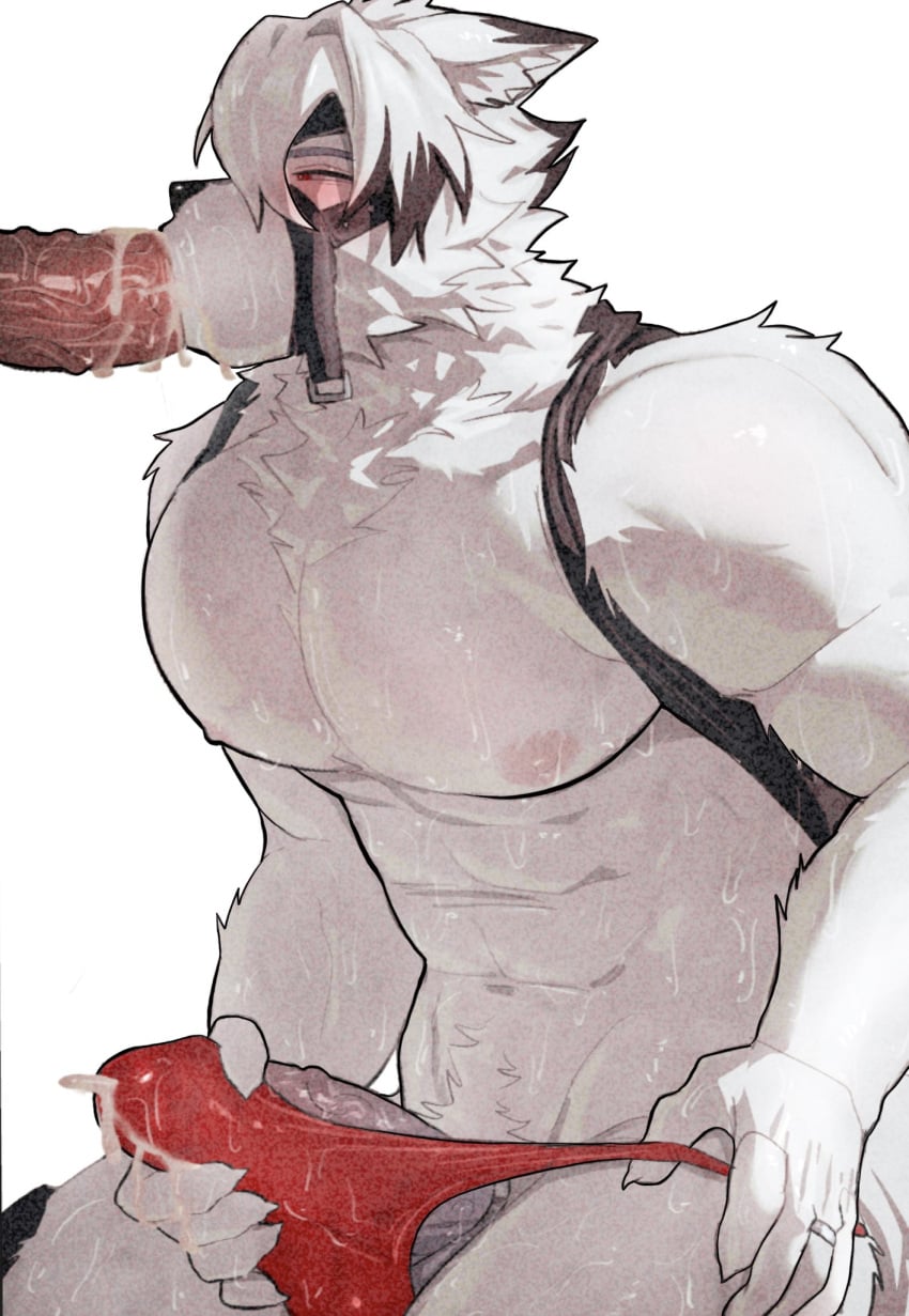 Von Lycaon (Mihoyo) Rule 34 Image