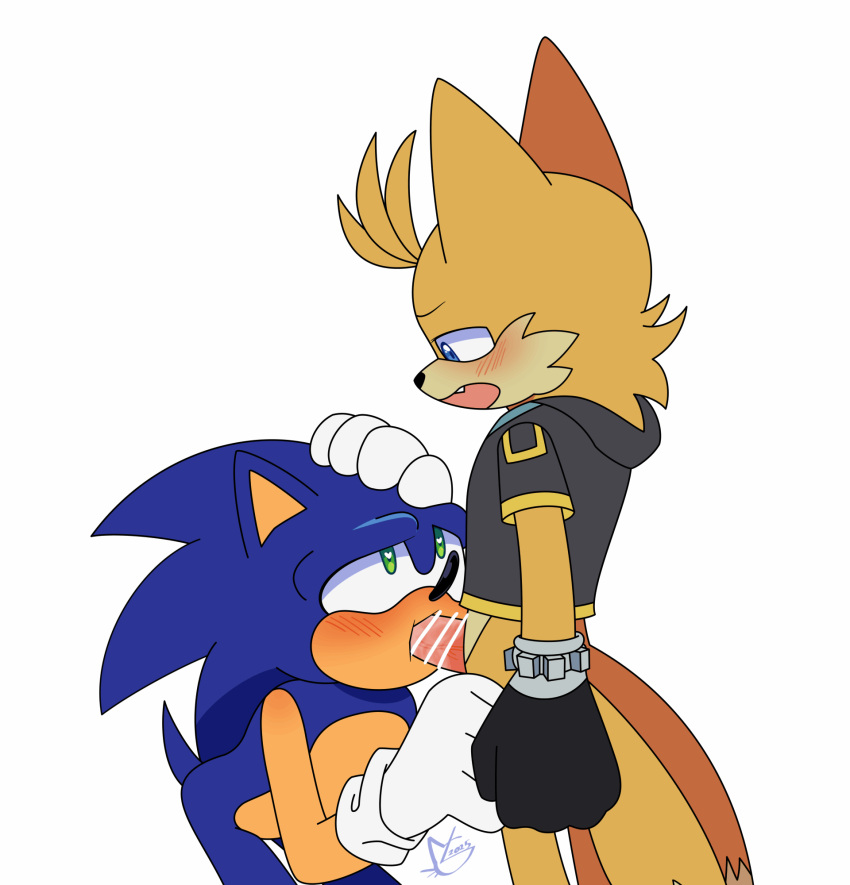Sonic The Hedgehog (Sega) Rule 34 Image