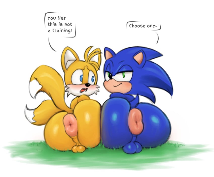 anthro anus ass backsack balls big_ass big_butt blue_body canid canine donut_anus duo eulipotyphlan femboy fox gay genitals hedgehog hi_res looking_at_viewer looking_back male mammal miles_prower pink_anus presenting presenting_hindquarters puffy_anus sega simple_background smile sonic_(series) sonic_the_hedgehog sonic_the_hedgehog_(series) tacoghastly tails tails_the_fox take_your_pick talking_to_viewer yaoi yellow_body