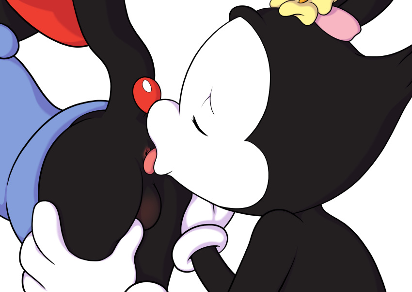 animaniacs cub dot_warner furry incest minum rimjob rimming transparent_background wakko_warner warner_brothers