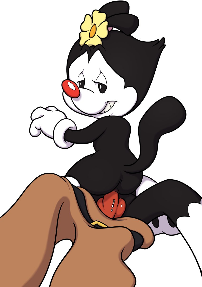 animaniacs ass brother_and_sister dot_warner female incest male male/female minum nude penis pussy sex transparent_background vaginal_penetration vaginal_sex warner_brothers yakko_warner