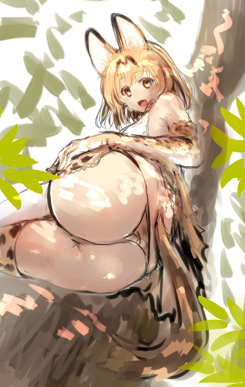 10s :d absurdres animal_ears ass bare_shoulders blonde_hair blush branch bright_background clothes_lift day elbow_gloves female foreshortening from_behind gloves hand_on_own_ass hand_rest high-waist_skirt highres in_tree kemono_friends leaf looking_at_viewer looking_back lying on_side open_mouth outdoors panties serval_(kemono_friends) serval_print serval_tail shirt short_hair sketch skirt skirt_lift sleeveless sleeveless_shirt smile solo striped_tail sweat tail thighhighs tree tree_shade tsukiriran tsukiriran underwear yellow_eyes