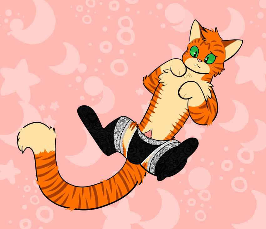 catboyjail clothed clothed_feral clothing domestic_cat felid feline felis feral firestar_(warriors) genitals hi_res lace lingerie lingerie_on_feral male mammal panties penis presenting presenting_penis solo underwear warriors_(cats)