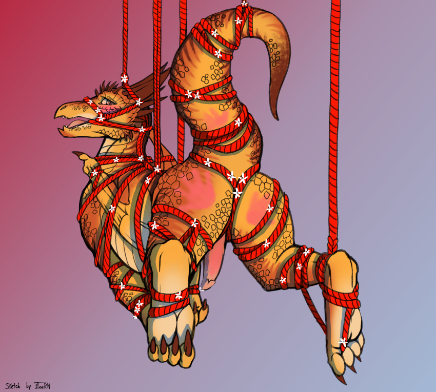 2d absurd_res animal_genitalia ass blush bondage bound butt_focus cloaca crotch_rope dragon feral flower gag gagged genitals hi_res horn immobile looking_at_viewer looking_back male orange_body penis plant raised_tail rehbeinel_(liquidfay) rope scalie scalie_male scalie_only simple_background solo spank_marks spread_legs spreading tail teern toe_curl wings wings_tied