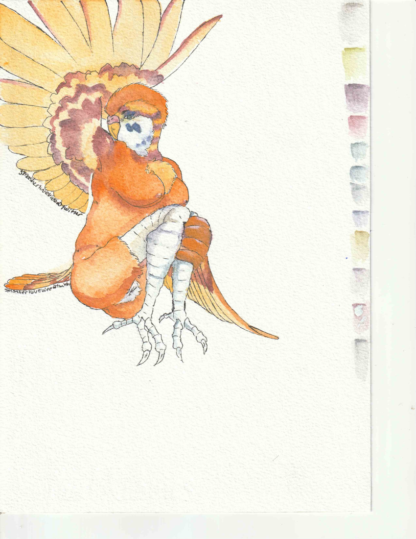 absurd_res anthro avian avian_feet bird budgerigar chubby_female feathers female hi_res loriinae painting_(artwork) parakeet parrot pose queen_avem_(character) smasherluveviee solo tail_feathers traditional_media_(artwork) true_parrot watercolor_(artwork) winged_arms wings