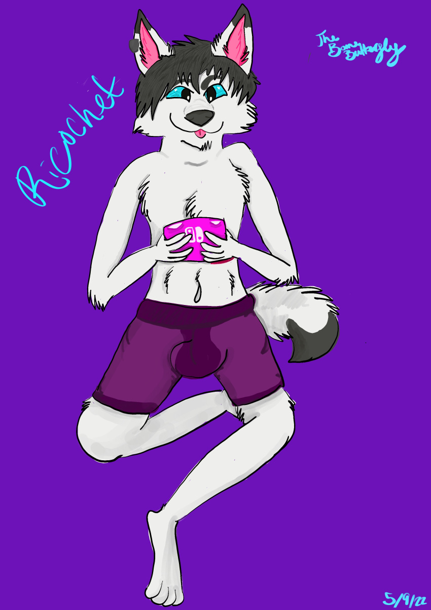 absurd_res bulge canid canine canis clothed clothing detailed_bulge digital_media_(artwork) english_text feral fur hair hi_res humanoid male mammal partially_clothed pecs ric ricochet simple_background smile solo text thebonebutterfly wolf