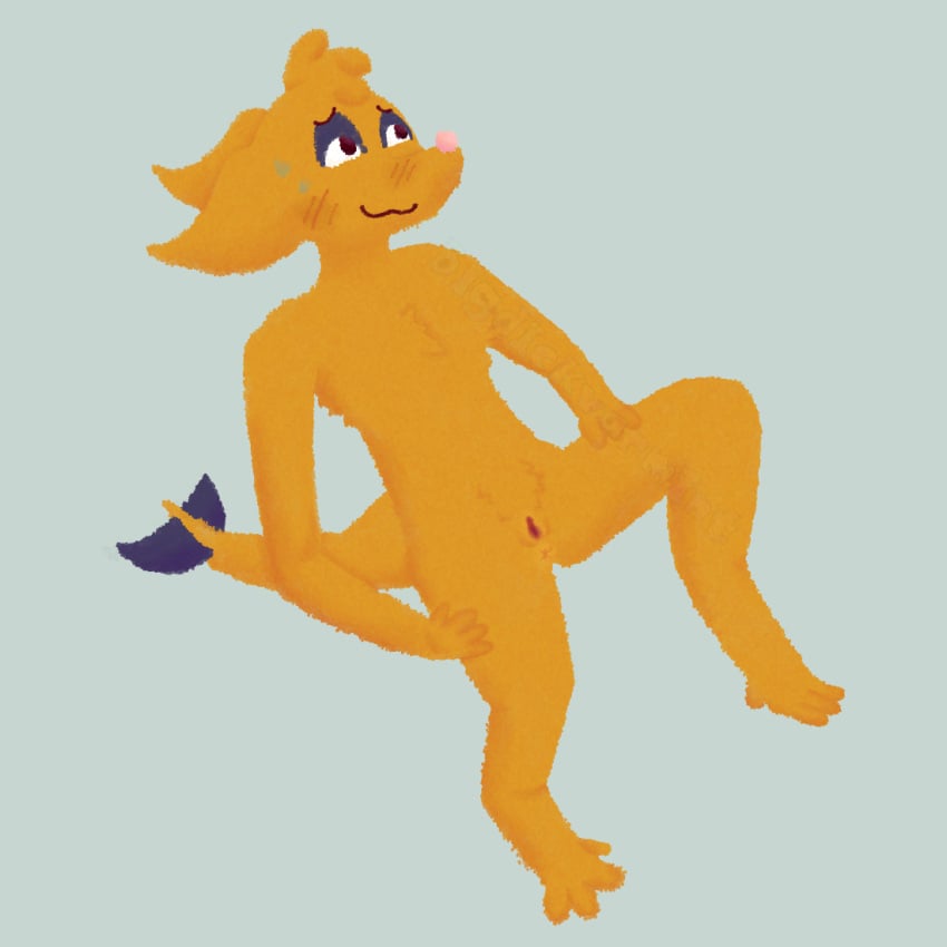 ambiguous_species andromorph anthro anus_peek bigdickvarmint_(artist) blush blush_lines bodily_fluids cuntboy digital_media_(artwork) digital_painting_(artwork) digitigrade feet fluffy fluffy_chest fluffy_hair full-length_portrait fur genitals hair head_tuft intersex lineless looking_away mac_(bigdickvarmint) nervous_smile nose_blush nude orange_body orange_fur pink_nose portrait pussy red_pussy shaded simple_background solo solo_focus spread_legs spread_pussy spread_toes spreading stomach_fur sweat sweatdrop toes tuft watermark