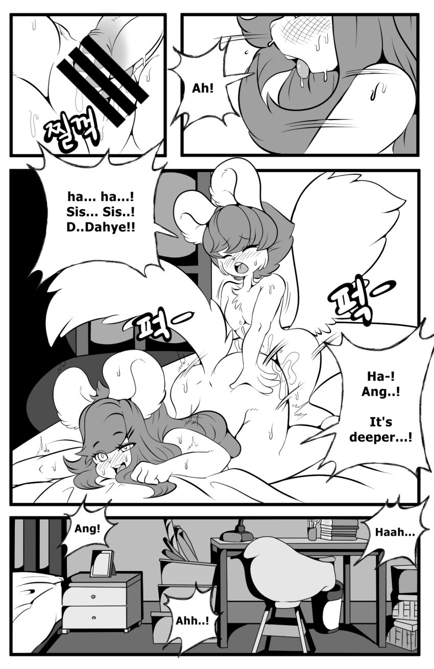 age_difference anthro big_ears big_sister blush bodily_fluids breath brother_and_sister censored closed_eyes comic duo english_text erection female fur genital_fluids genitals hair hi_res incest korean_text little_brother male male/female mammal monochrome nude older_sister panting penile penis pussy pussy_juice rodent saliva saliva_on_tongue sciurid sex size_difference smaller_male sweat text tod_d tongue tongue_out tree_squirrel young younger_brother younger_male