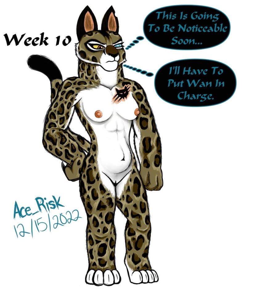 anthro belly breasts clouded_leopard dreamworks felid feline female genitals hi_res kung_fu_panda mammal pantherine pregnant progression pussy solo spots spotted_body su_wu tattoo wide_hips wu_sisters