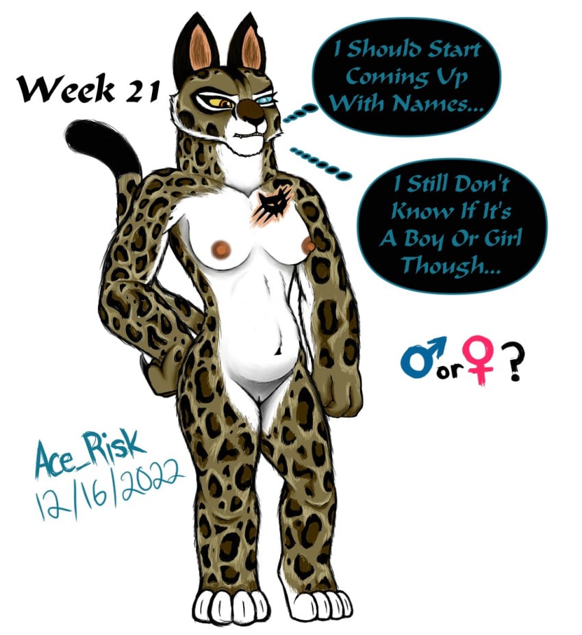 anthro belly breasts clouded_leopard dreamworks felid feline female fur genitals hi_res kung_fu_panda mammal navel pantherine pregnant progression pussy solo spots spotted_body spotted_fur su_wu tattoo wide_hips wu_sisters