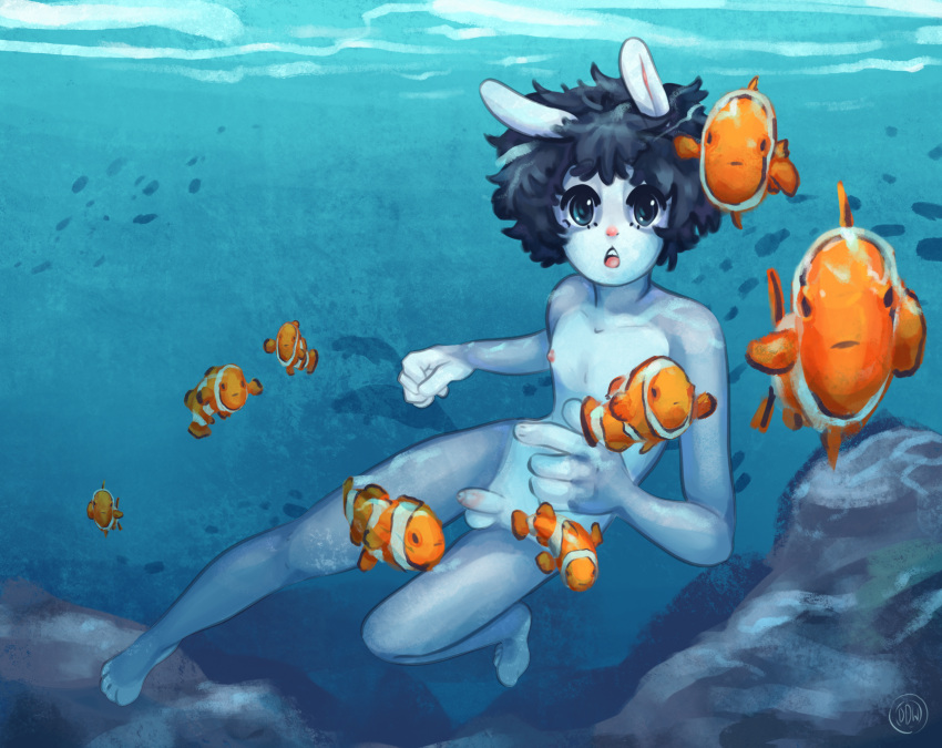 anthro clownfish fish girly hi_res lagomorph leporid male mammal marine pomacentrid rabbit solo underwater water x_ten_ten_x