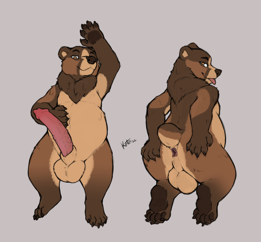 anus ass balls bear belly big_balls big_penis brown_bear dakimakura_design dakimakura_pose genitals grizzly_bear hair hi_res huge_cock ketei kuruk_(character) looking_at_viewer looking_back lying male male_only mammal mane mane_hair nude on_back on_front pawpads paws penis presenting presenting_anus presenting_hindquarters presenting_penis semi-anthro slightly_chubby solo solo_male spread_butt spreading tongue tongue_out ursine