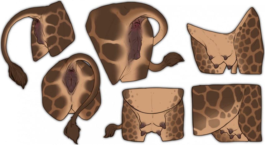 anatomically_correct anatomically_correct_genitalia anatomically_correct_pussy anus crotchboobs female feral genitals giraffe giraffe_pussy giraffid hi_res kuruk_(character) low-angle_view mammal pussy raised_tail rear_view solo stygimoloch_(artist) tail udders